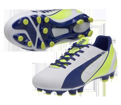 puma evospeed 3.3