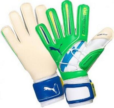 Praten Anders Split Puma evoSpeed 1 GK Glove