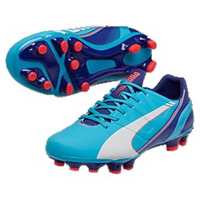 puma evospeed 3.3