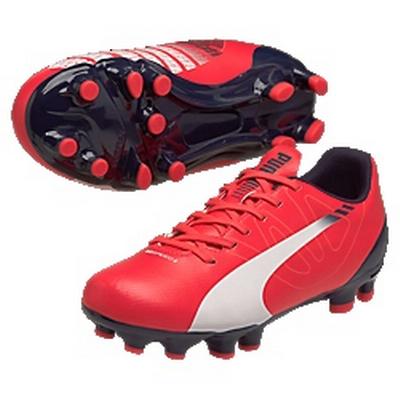 puma evospeed 5.3