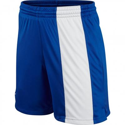 Nike Striker III Short