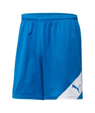 Puma Santiago Short