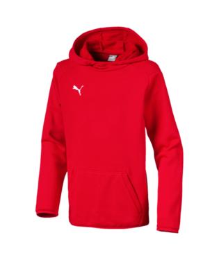 Puma Liga Casuals Hoody Youth