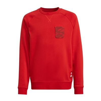 adidas FC Bayern Munich Crewneck Sweatshirt Youth