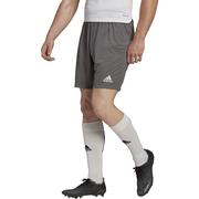 adidas Entrada 22 Short: Grey/White
