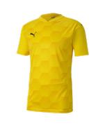 Puma Teamfinal 21 Graphic Jersey Youth: Yellow