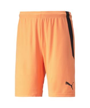 Puma TeamLiga Short