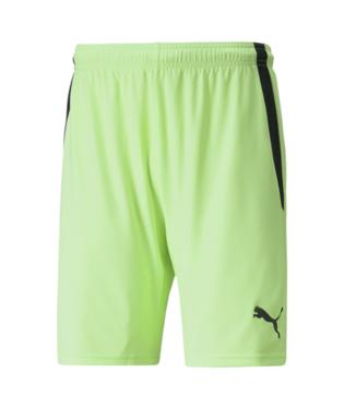 Puma TeamLiga Short