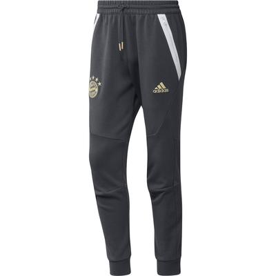 fc bayern travel pants