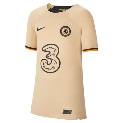 Nike Chelsea FC 3rd Jersey 22/23 Youth