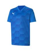 Puma Teamfinal 21 Graphic Jersey Youth: Electric Blue
