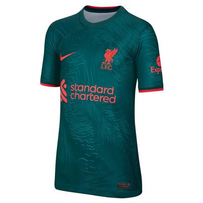 Nike Liverpool FC Away Jersey 22/23 Youth Atomic Teal/Red
