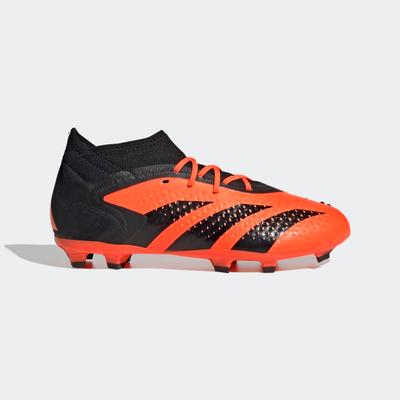 adidas Predator Accuracy.1 FG Youth