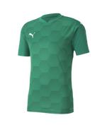 Puma Teamfinal 21 Graphic Jersey Youth: Pepper Green