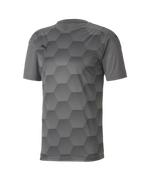 Puma Teamfinal 21 Graphic Jersey Youth: Gray
