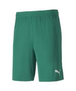Puma Teamfinal 21 Knit Short: Pepper Green