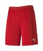 Puma Teamfinal 21 Knit Short Youth: Red