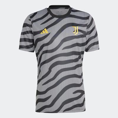 adidas Juventus Pre-Match Jersey 23/24