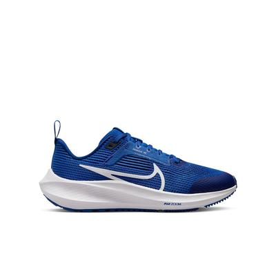 Youth Nike Pegasus 40 GAME_ROYAL/WHITE