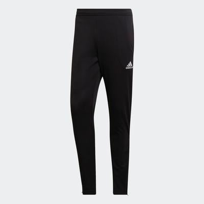 adidas Entrada 22 Training Pant BLACK