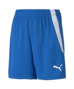 Puma Team Liga 25 Short Youth: Royal