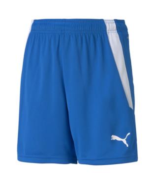 Puma Team Liga 25 Shorts ROYAL/WHITE