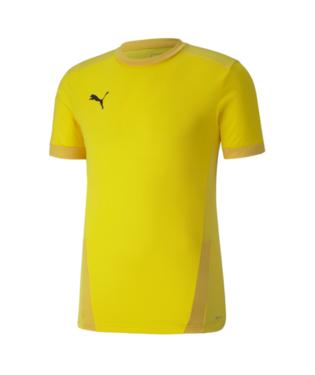 Puma TeamGoal 23 Jersey