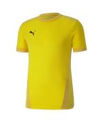 Puma TeamGoal 23 Jersey: Yellow