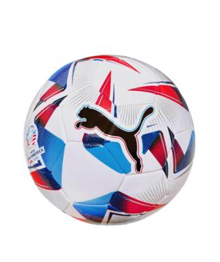 Puma Cumbre CONMEBOL Copa America Mini Ball