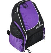 Vizari Solano Backpack: Purple