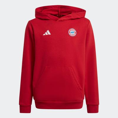 adidas Bayern Munich Kids Hoodie