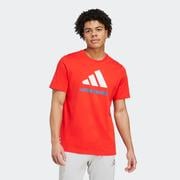 adidas FC Bayern Seasonal Graphic T-Shirt: Red/White