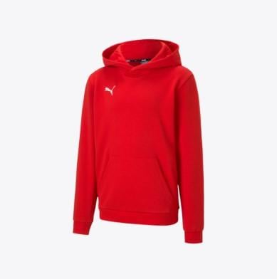 Puma Teamgoal 23 Casuals Hoody Youth