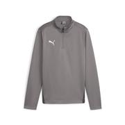 Puma TeamGoal Training 1/4 Zip Top Women's: Iron/White/Gray