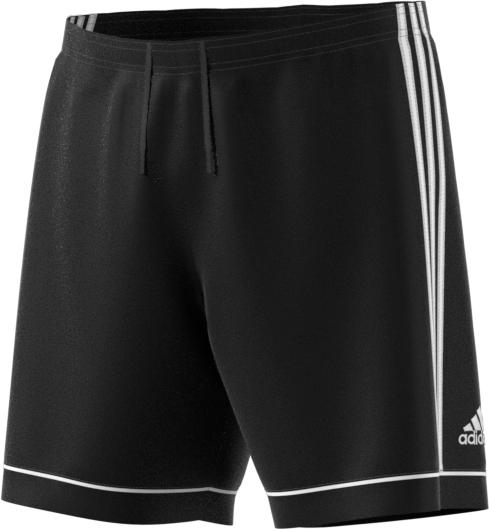 adidas shorts squadra 17