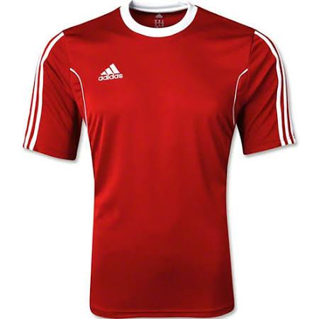 adidas squadra 17 jersey youth