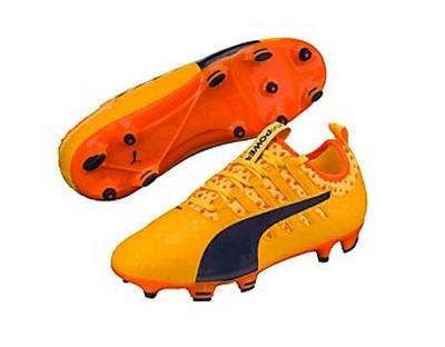 evopower vigor 1
