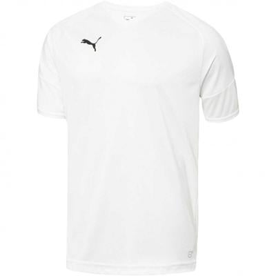  Puma Borussia Short Sleeve Jersey