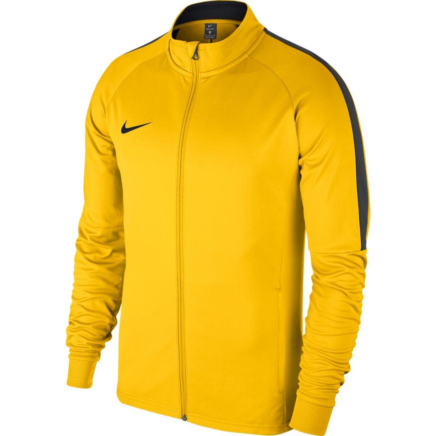 nike dry academy 18 shirt