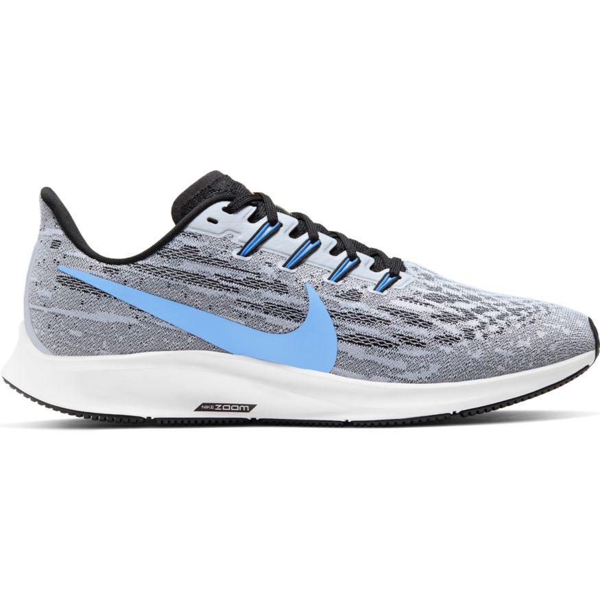men's zoom pegasus