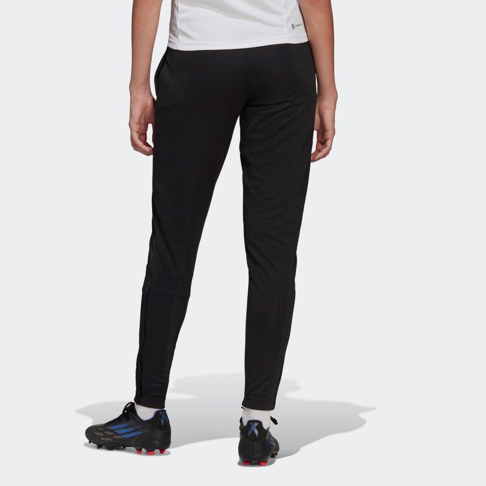 adidas Entrada 22 Training Pant Women's