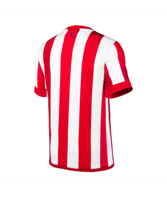 puma chivas 115