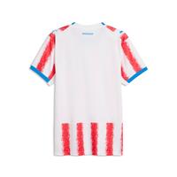 Puma Paraguay Home Jersey 2026 Back View