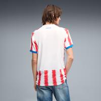 Puma Paraguay Home Jersey 2026 Model Back View