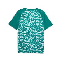 Puma Portugal Warm Up Jersey World Cup 2026